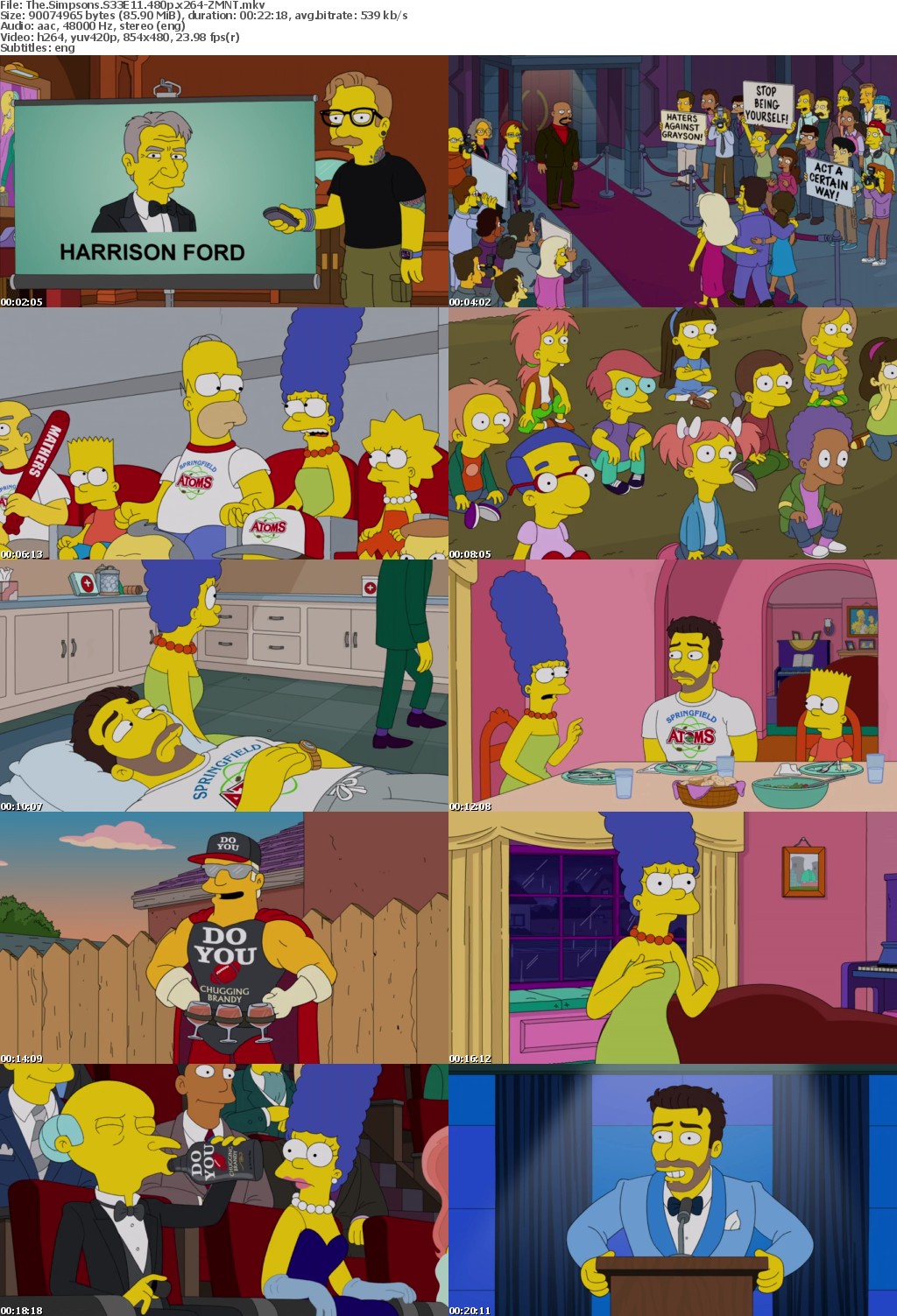 The Simpsons S33E11 480p x264-ZMNT