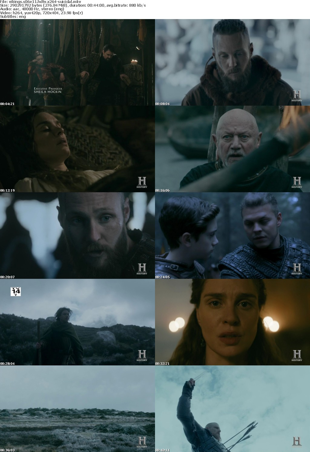 Vikings S06E11 HDTV x264-SUiCiDAL