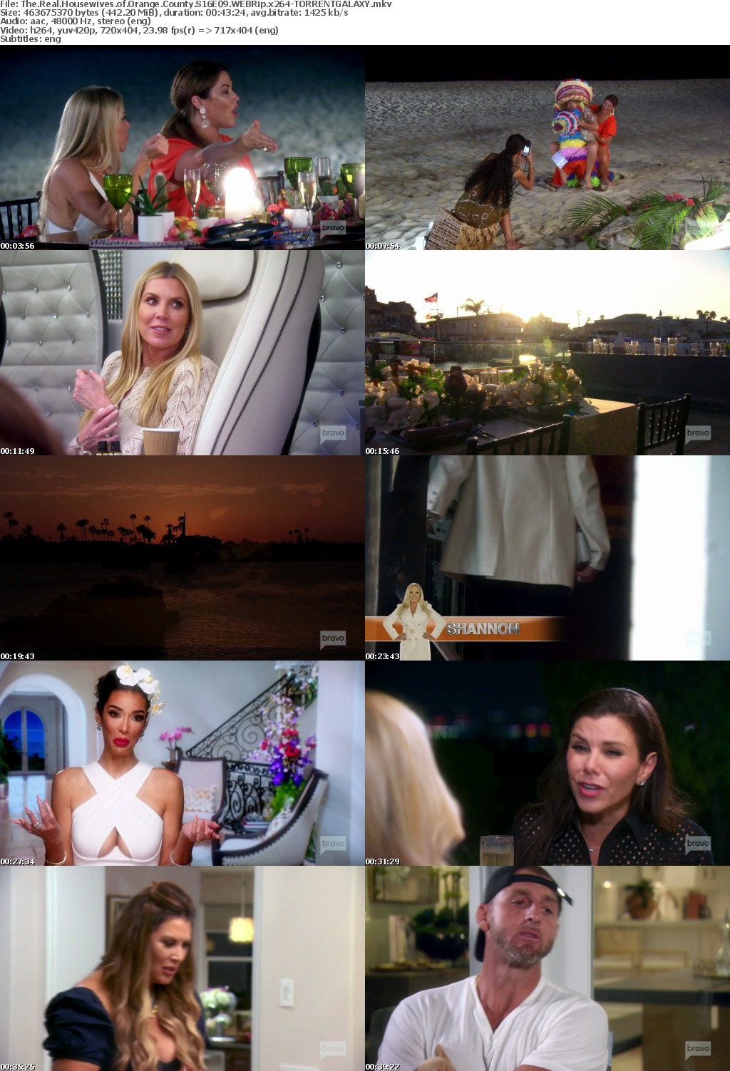 The Real Housewives of Orange County S16E09 WEBRip x264-GALAXY