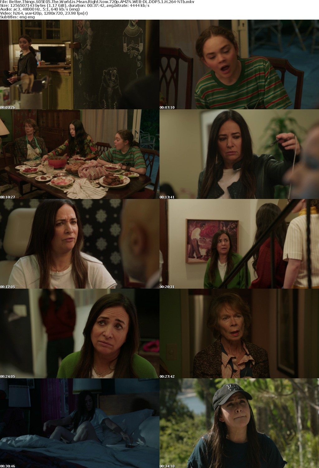 Better Things S05E05 The World is Mean Right Now 720p AMZN WEBRip DDP5 1 x264-NTb