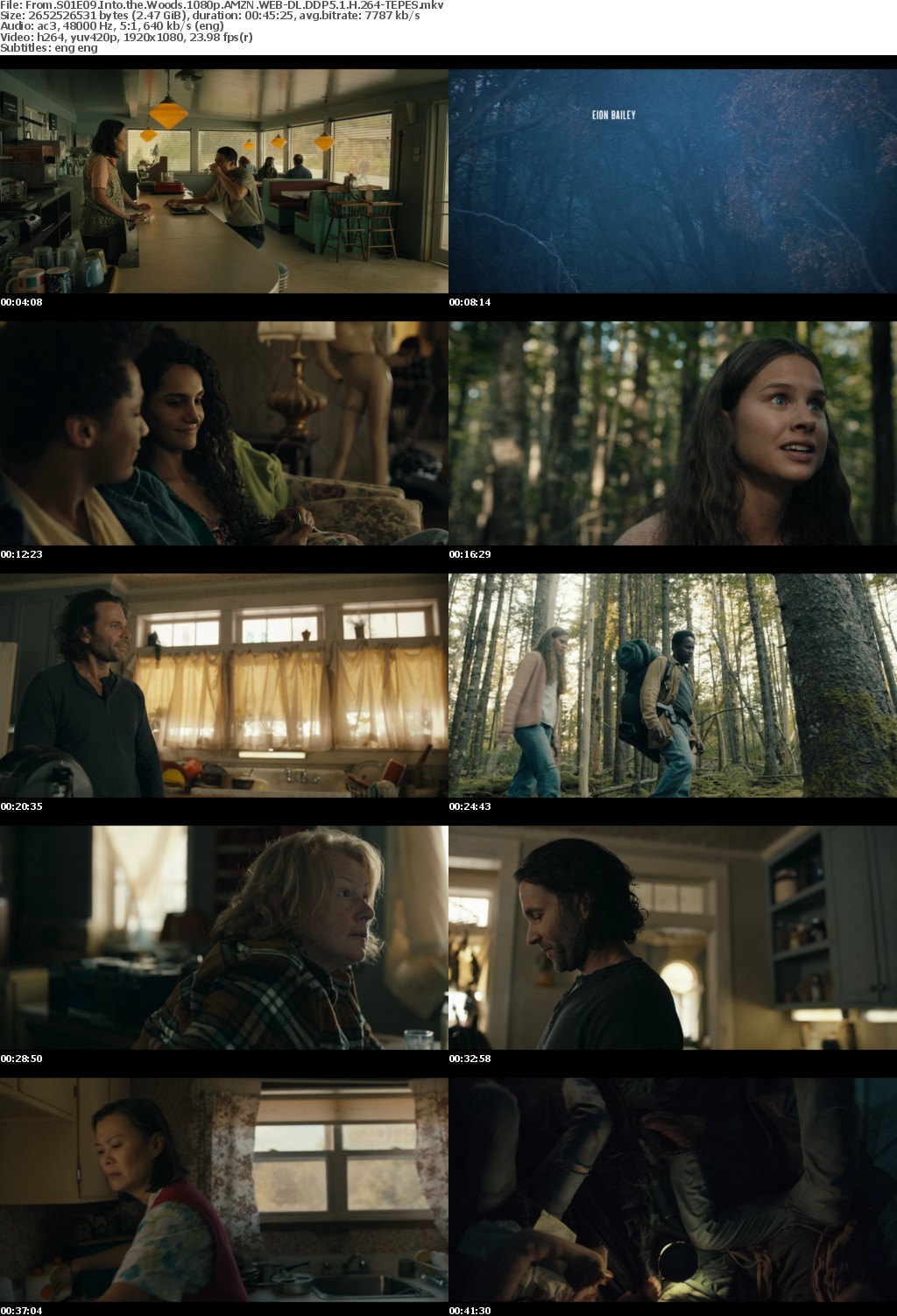 From S01E09 Into the Woods 1080p AMZN WEBRip DDP5 1 x264-TEPES