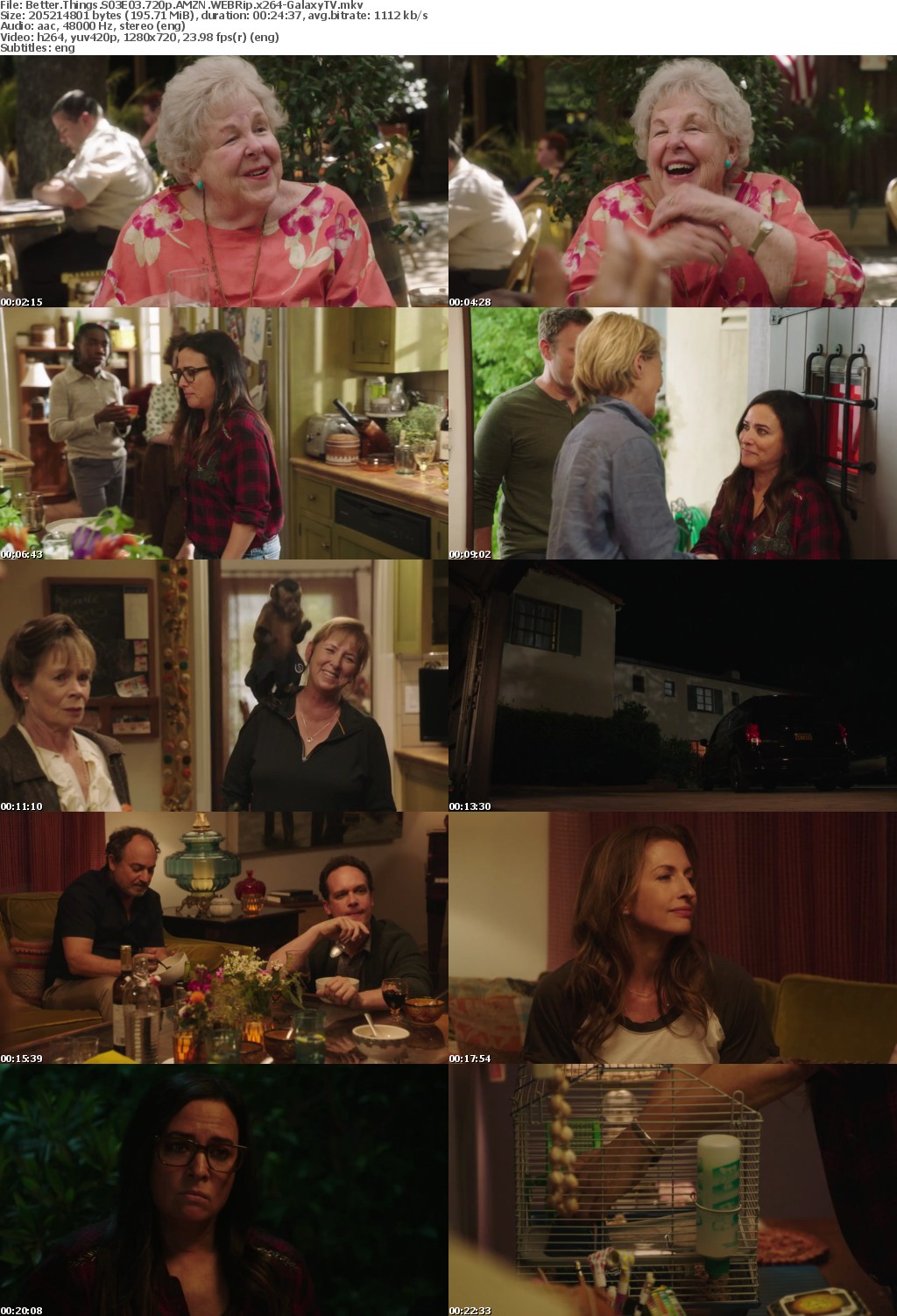 Better Things S03 COMPLETE 720p AMZN WEBRip x264-GalaxyTV