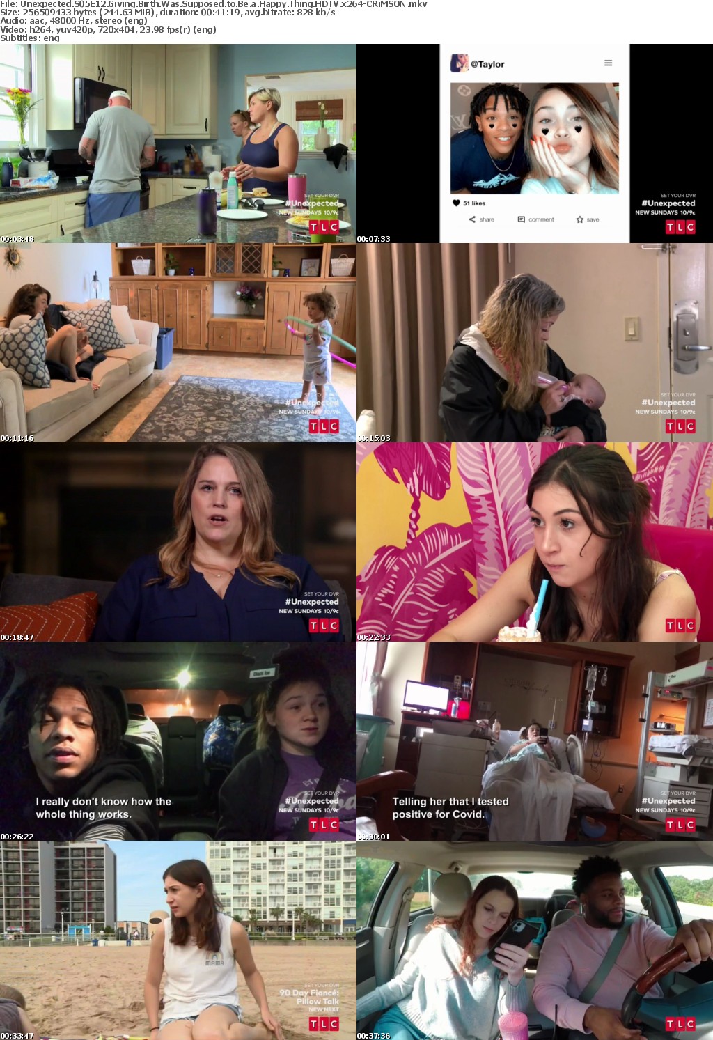 Unexpected S05E12 Giving Birth Was Supposed to Be a Happy Thing HDTV x264-CRiMSON