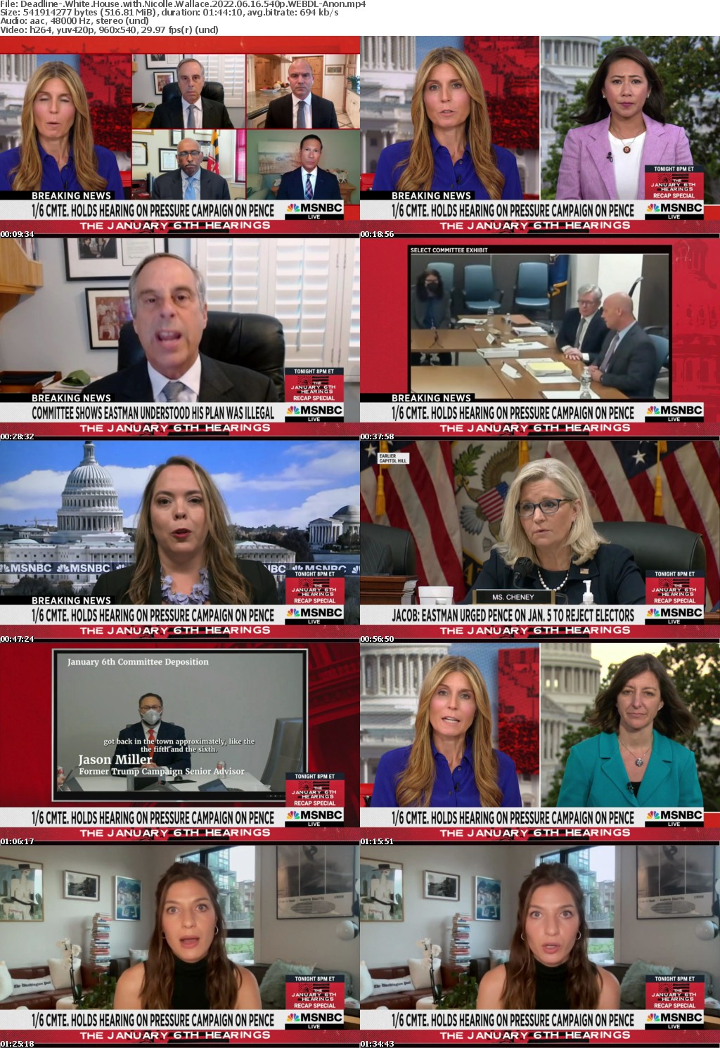 Deadline- White House with Nicolle Wallace 2022 06 16 540p WEBDL-Anon