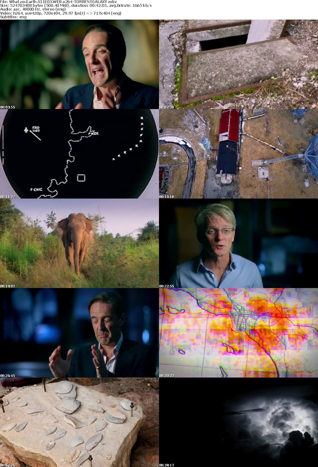 What on Earth S11E03 WEB x264-GALAXY