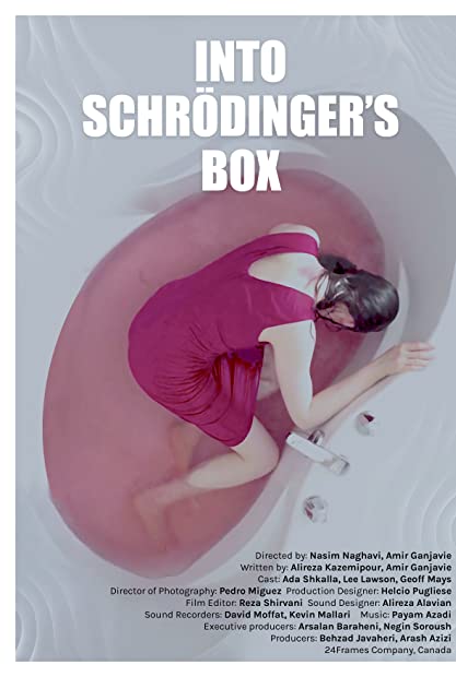 Into Schrodingers Box 2022 1080p AMZN WEBRip 1400MB DD2 0 x264-GalaxyRG