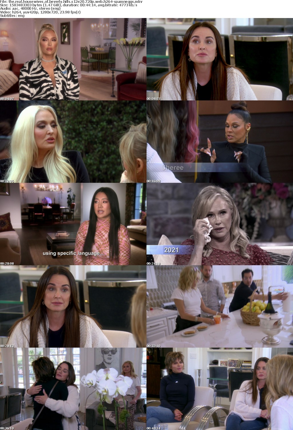 The Real Housewives of Beverly Hills S12E20 720p WEB H264-SPAMnEGGS