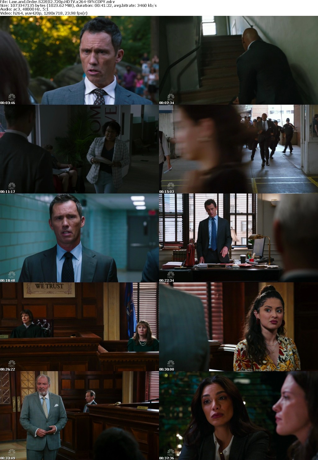 Law and Order S22E02 720p HDTV x264-SYNCOPY