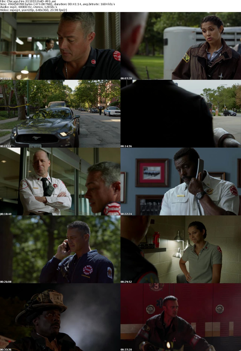 Chicago Fire S11E03 XviD-AFG