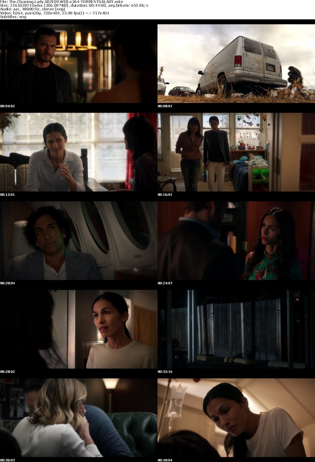The Cleaning Lady S02E09 WEB x264-GALAXY
