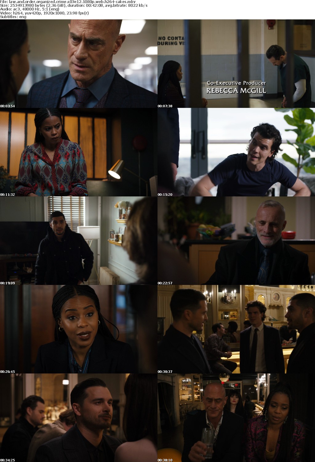 Law and Order Organized Crime S03E12 1080p WEB H264-CAKES