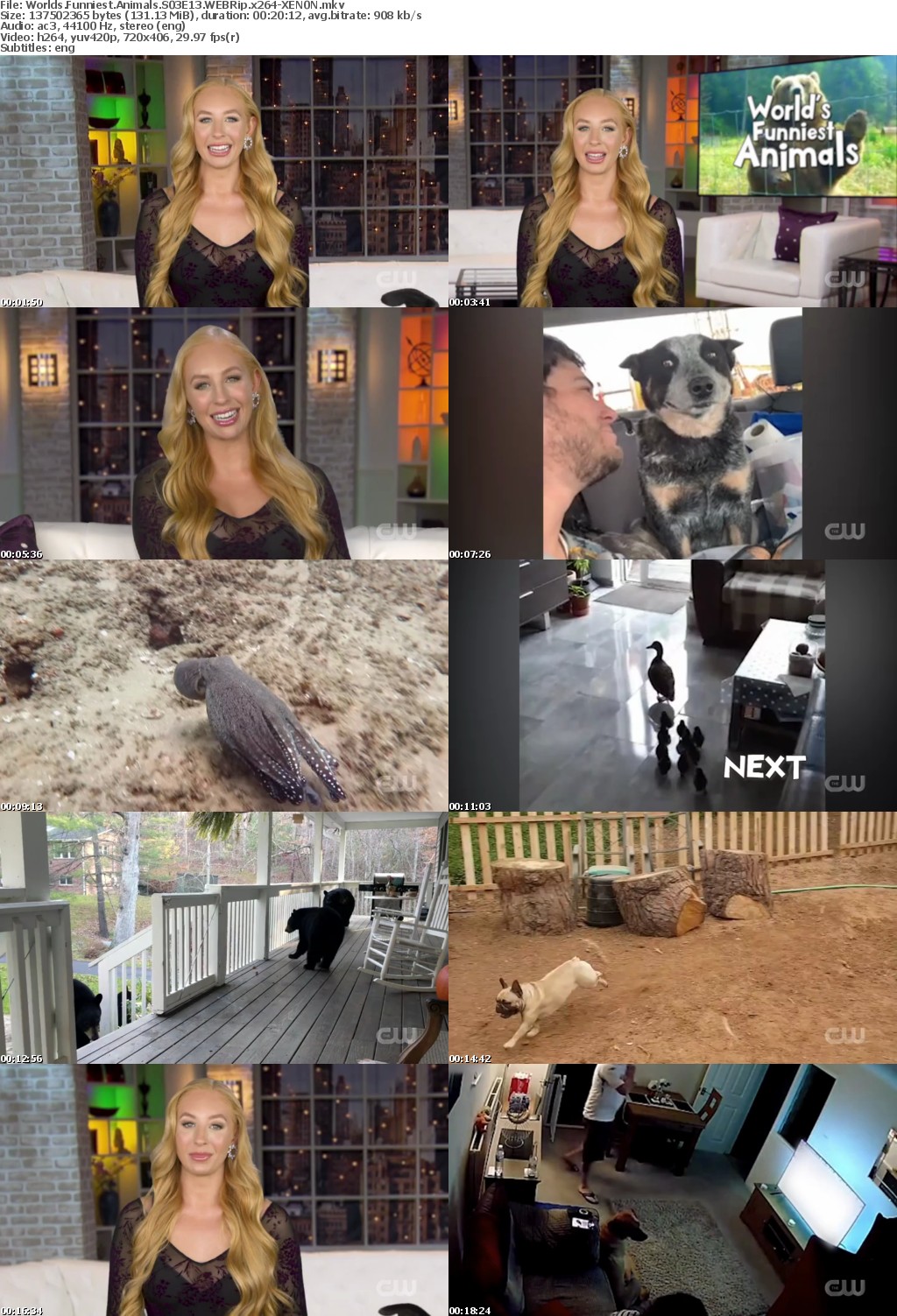 Worlds Funniest Animals S03E13 WEBRip x264-XEN0N