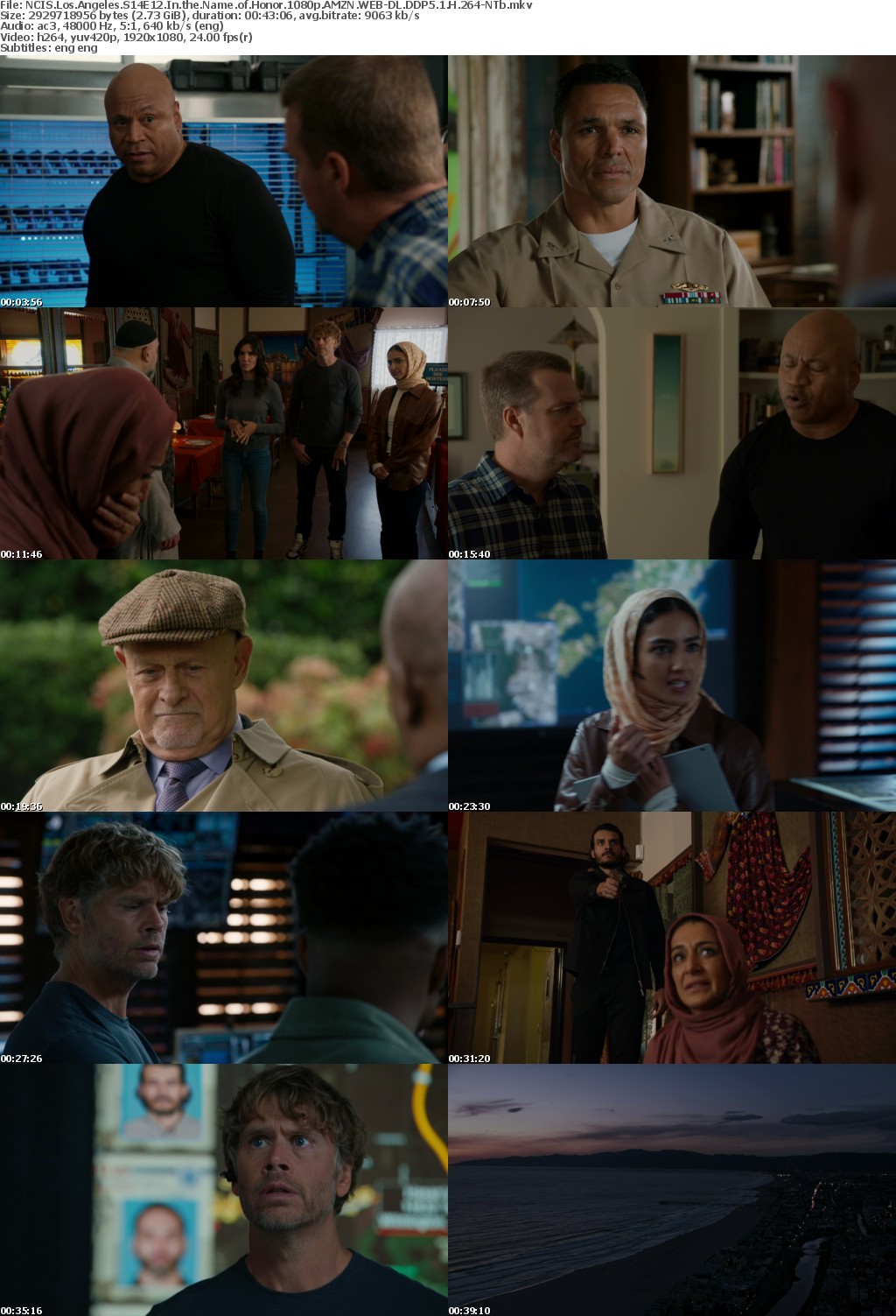 NCIS Los Angeles S14E12 In the Name of Honor 1080p AMZN WEBRip DDP5 1 x264-NTb