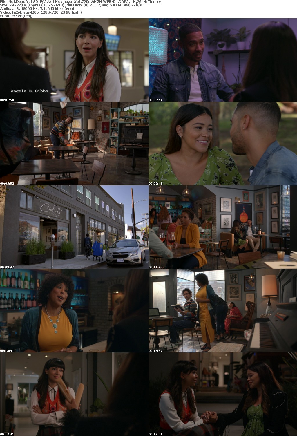 Not Dead Yet S01E05 Not Moving on Yet 720p AMZN WEBRip DDP5 1 x264-NTb