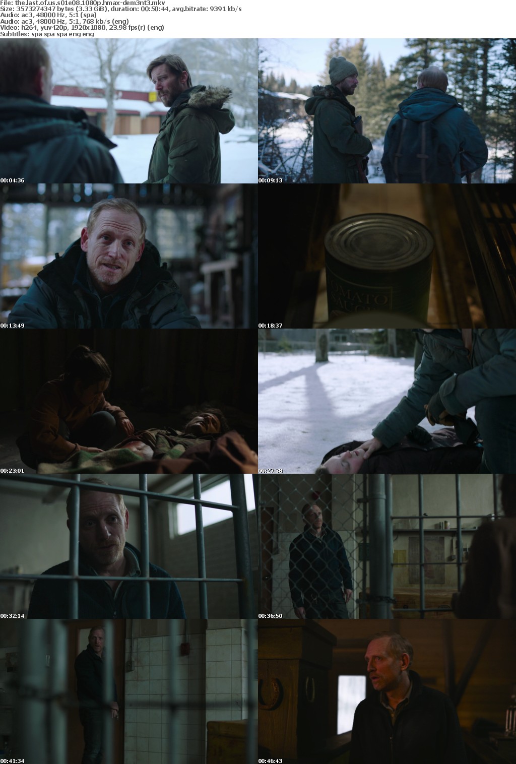 The Last Of Us S01E08 SPANiSH 1080p HMAX WEB-DL x264-dem3nt3