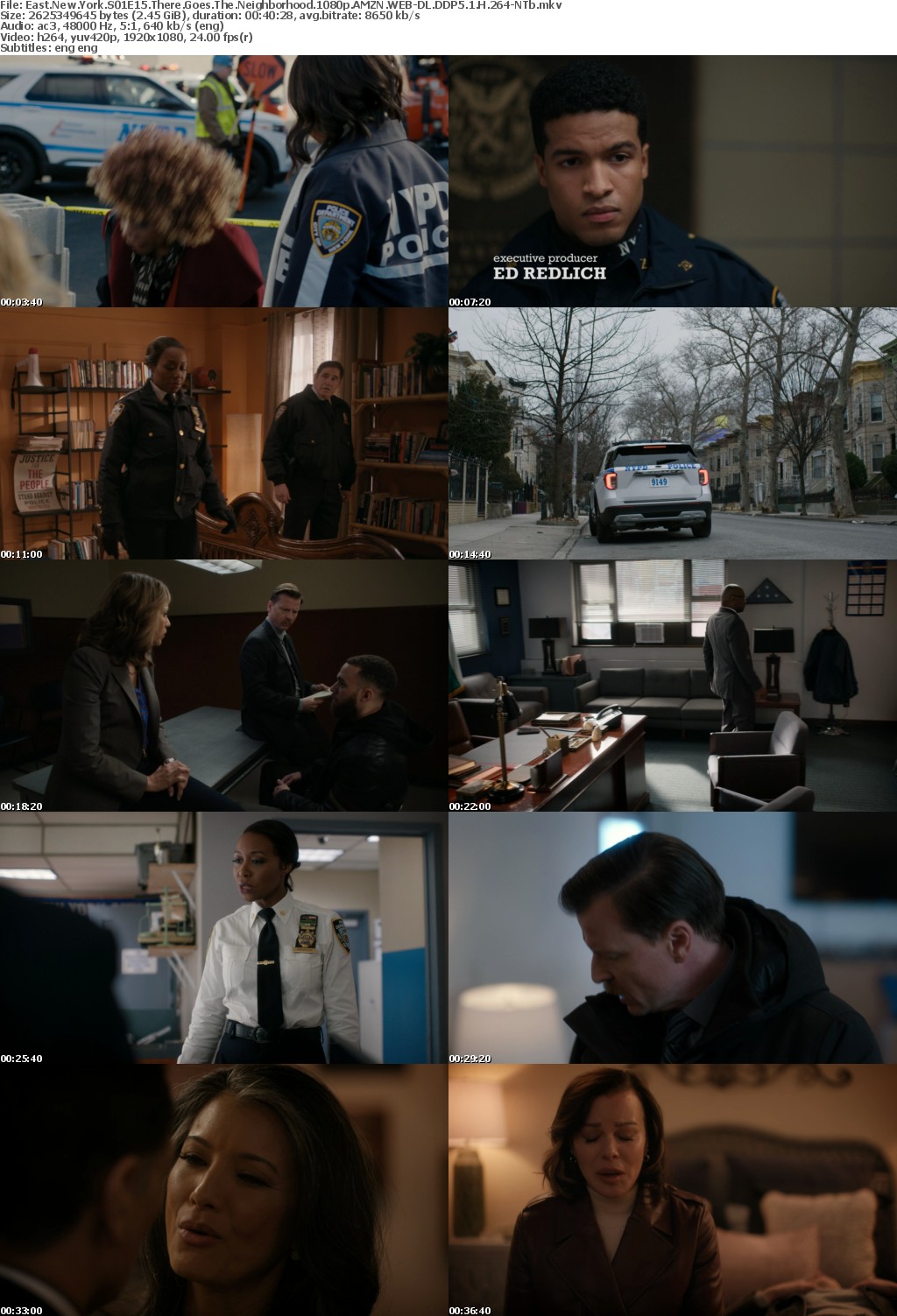 East New York S01E15 There Goes The Neighborhood 1080p AMZN WEBRip DDP5 1 x264-NTb