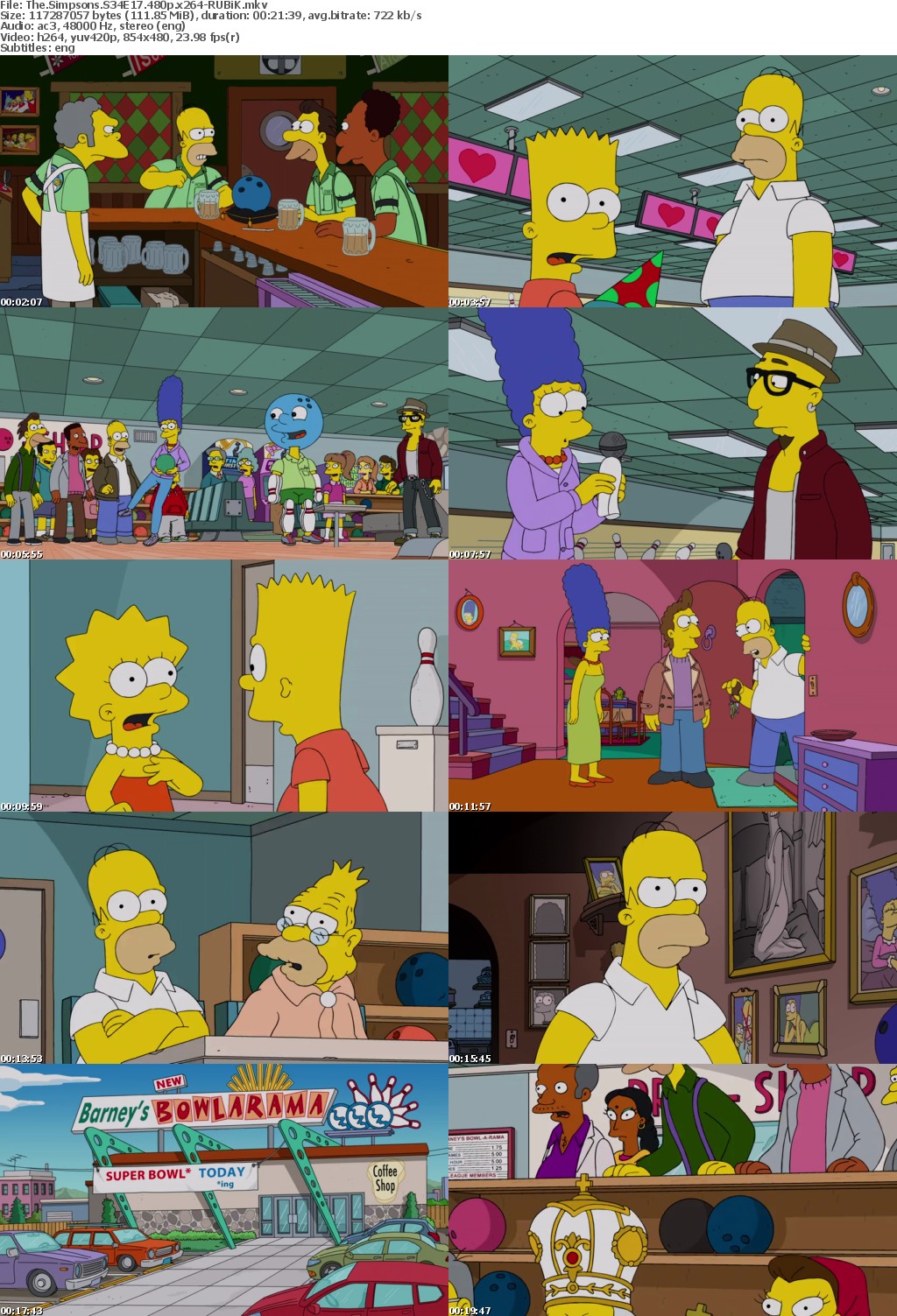 The Simpsons S34E17 480p x264-RUBiK