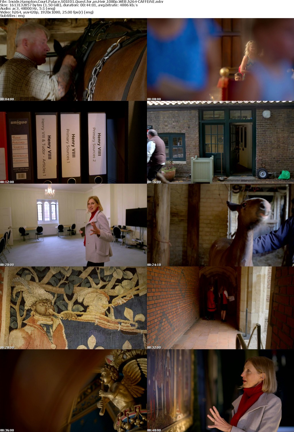 Inside Hampton Court Palace S01 1080p WEBRip DD5 1 x264-CAFFEiNE