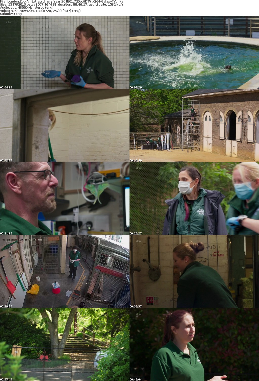 London Zoo An Extraordinary Year S01 COMPLETE 720p HDTV x264-GalaxyTV
