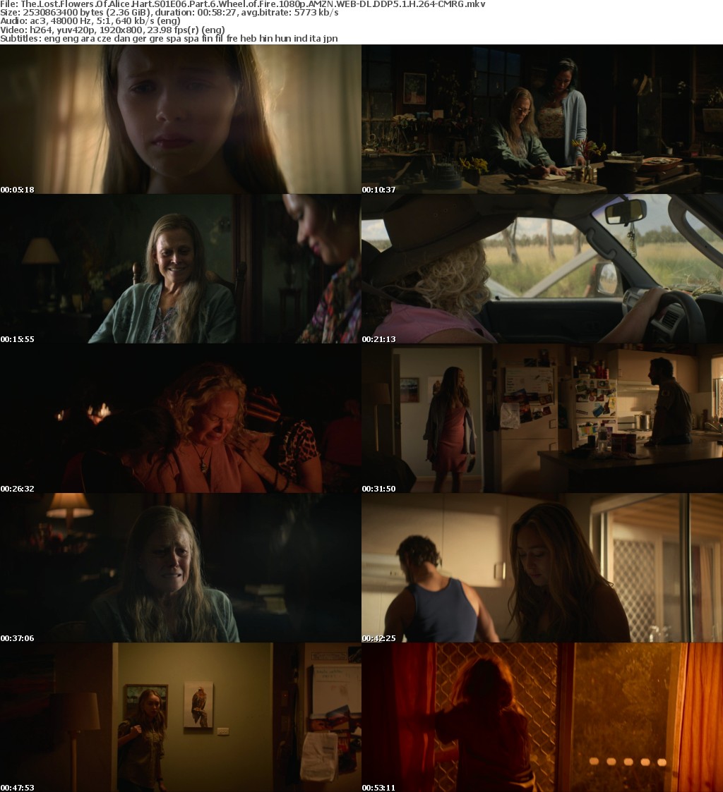 The Lost Flowers Of Alice Hart S01E06 Part 6 Wheel of Fire 1080p AMZN WEB-DL DDP5 1 H 264-CMRG