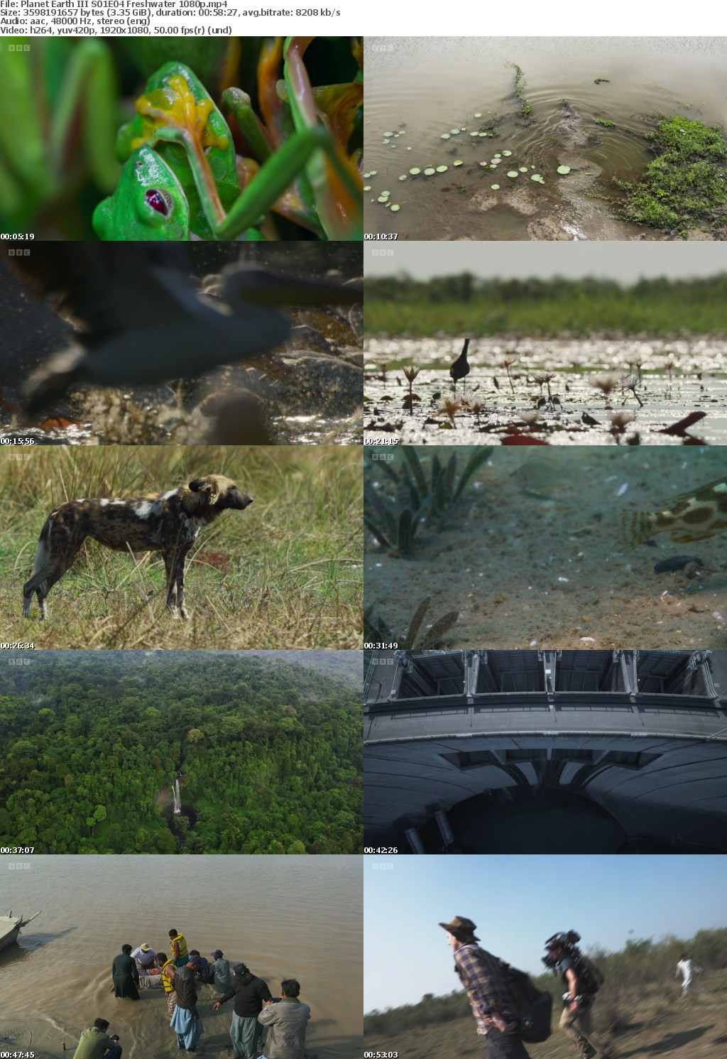 Planet Earth III S01E04 Freshwater (1080p HD, 50fps, soft Eng subs)