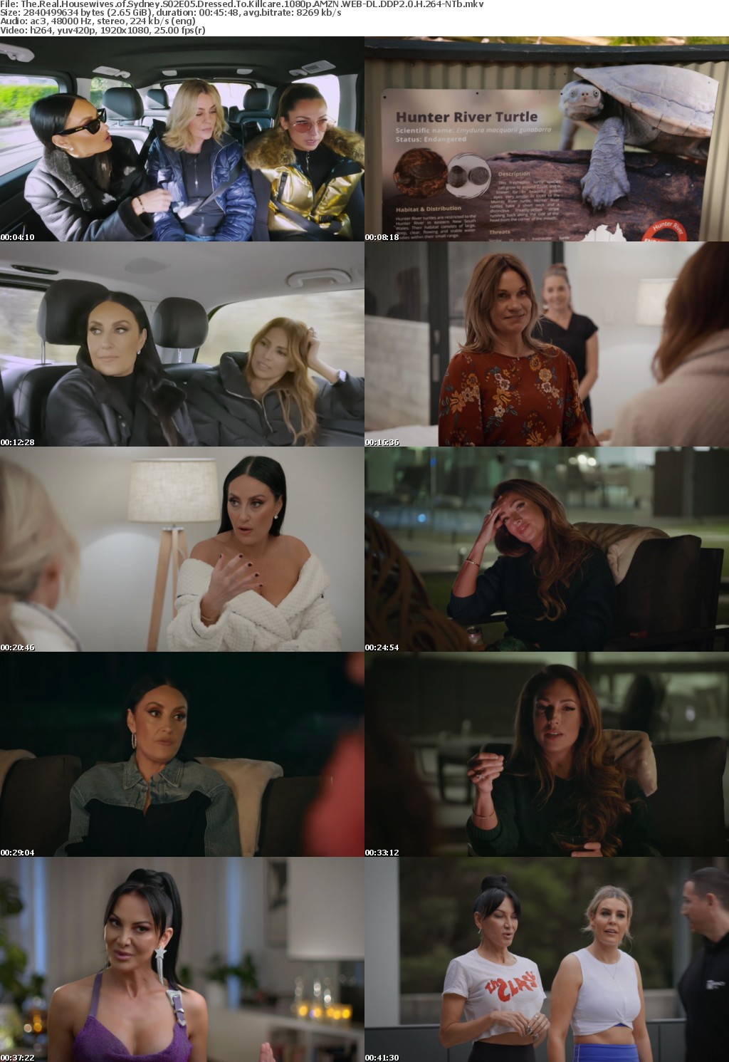 The Real Housewives of Sydney S02E05 Dressed To Killcare 1080p AMZN WEB-DL DDP2 0 H 264-NTb