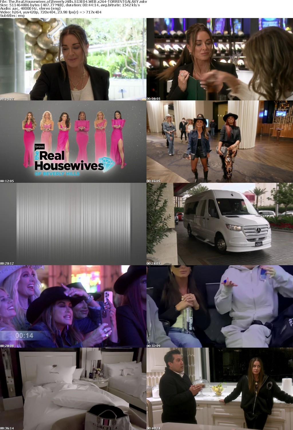 The Real Housewives of Beverly Hills S13E04 WEB x264-GALAXY
