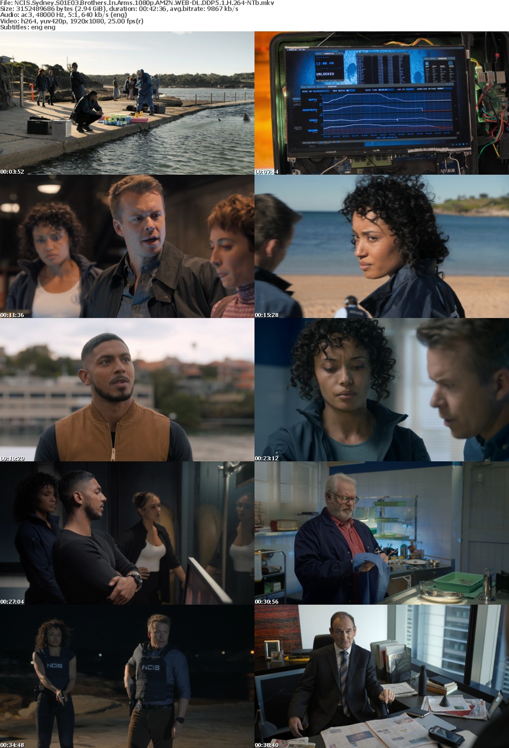 NCIS Sydney S01E03 Brothers In Arms 1080p AMZN WEB-DL DDP5 1 H 264-NTb