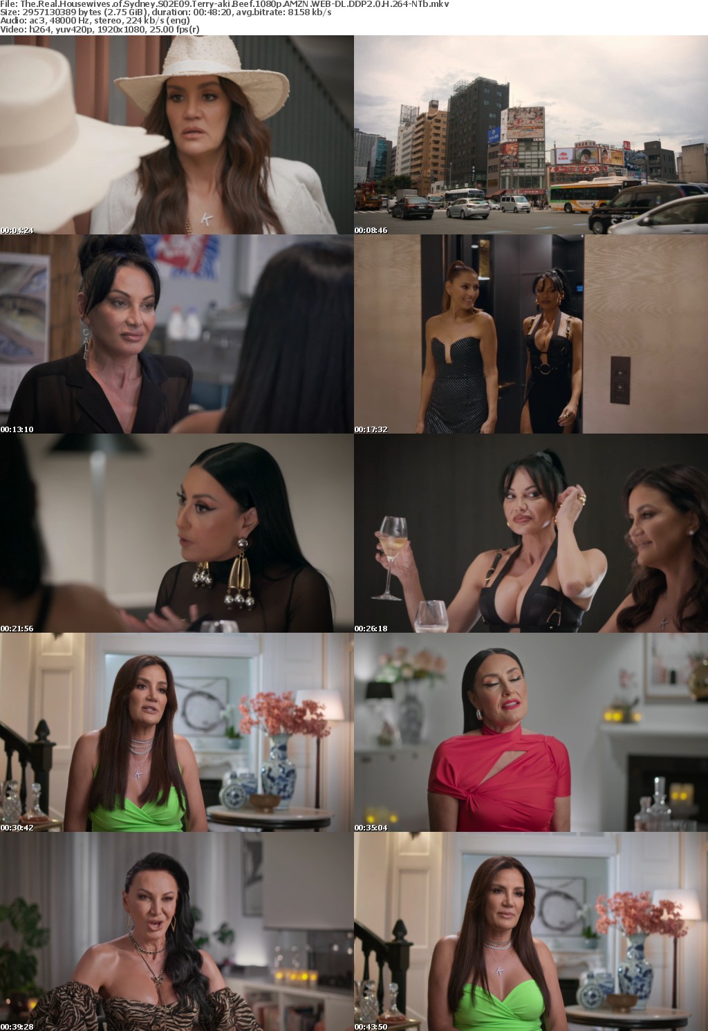 The Real Housewives of Sydney S02E09 Terry-aki Beef 1080p AMZN WEB-DL DDP2 0 H 264-NTb