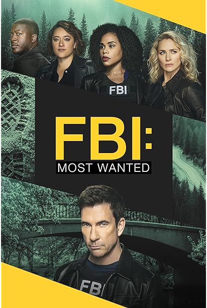 FBI Most Wanted S05E03 XviD-AFG