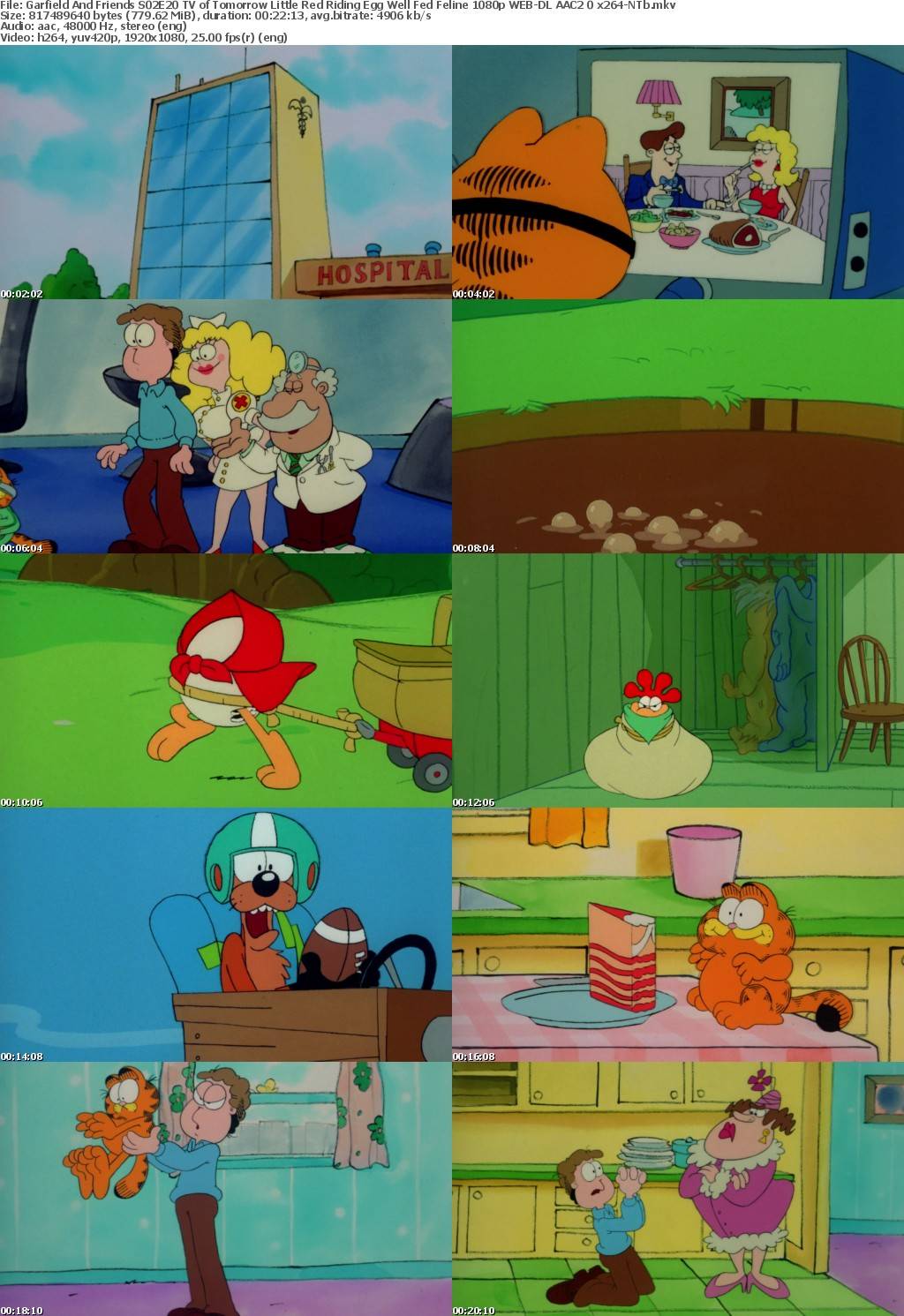 Garfield And Friends S02E20 TV of Tomorrow Little Red Riding Egg Well Fed Feline 1080p WEB-DL AAC2 0 x264-NTb