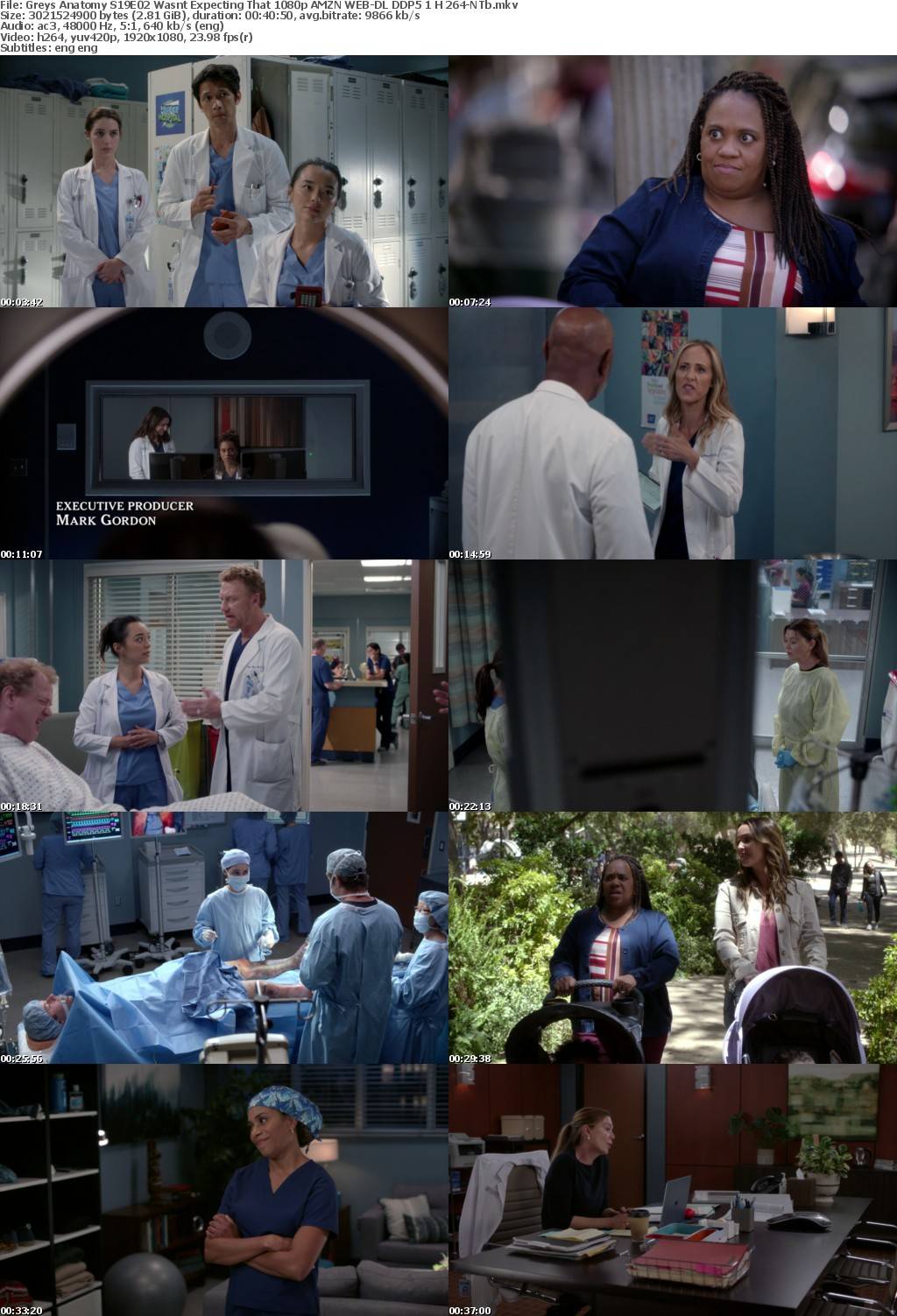 Greys Anatomy S19E02 Wasnt Expecting That 1080p AMZN WEB-DL DDP5 1 H 264-NTb