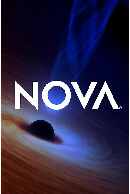 NOVA S51E07 Secrets in Your Data 720p x265-T0PAZ Saturn5