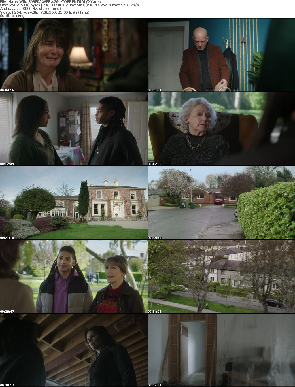 Harry Wild S03E05 WEB x264-GALAXY